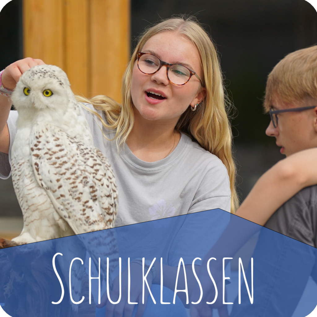 Junge Frau mit Brille zeigt einen Greifvogel zwei Kindern mit Schriftzug „Schulklassen“ – Evangelische Gesellschaft für Deutschland KdöR